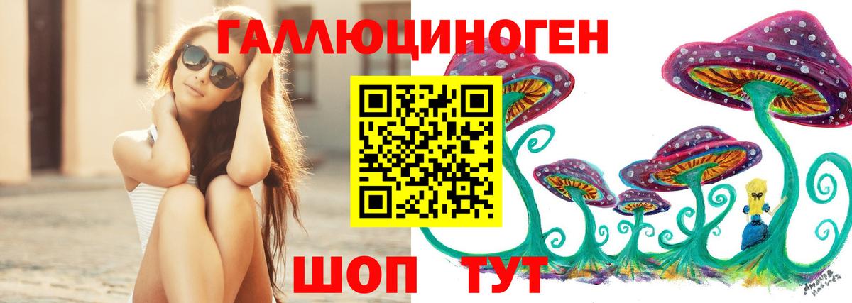 Галлюциногенные грибы Psilocybine cubensis Нарткала
